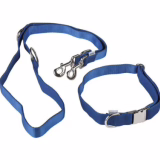 Collier et laisse pour chiens