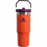 Bouteille d'eau Stanley IceFlow Flip Straw avec paille 0,89 L - Garde au frais plus de 12 heures - Étanche - Bouteille d'eau en acier inoxydable - Bouteille sans BPA - Portable - Compatible lave-vaisselle