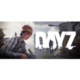 DayZ