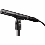 Audio-Technica AT2031 Cardioid Condenser Microphone, Black
