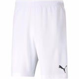 Puma Liga Shorts Core with Brief Slip-Homme-Pourpre