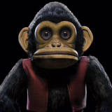 Disque vinyle The Monkey