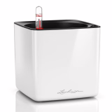 LECHUZA CUBE Glossy 14 - Jardinière à plantes avec système d'irrigation en bâton, blanc brillant